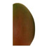 Mango Kent