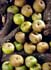 Manzana Reineta Del Bierzo