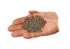 Abono orgnico peletizado Agrifem Soil