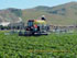 K-450 Series, pulverizador para hortalizas al aire libre