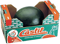 Sanda Castil