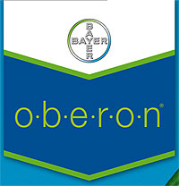Insecticida - acaricida Oberon