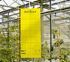 Placas adhesivas Bug-Scan y Bug-Scan B