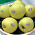 Manzanas 'Way fruit'