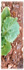 Powir Extracto Vegetal