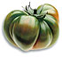Tomate Raf