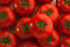 Tomate Larga Vida