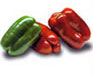 Pimiento lamuyo