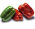 Pimiento lamuyo