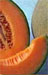 Meln cantaloupe