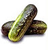 Pepino tipo Espaa