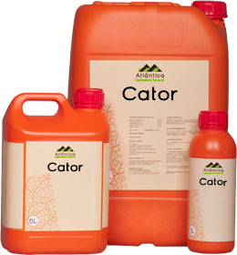 Enmienda orgnica Cator