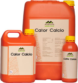 Enmienda orgnica Cator Calcio