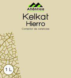 Corrector de carencias Kelkat Hierro