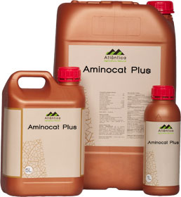Aminocido Aminocat Plus