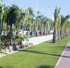 Csped para zonas urbanas