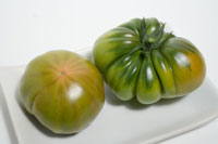 Tomates de la Cañada-Níjar
