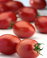 Tomate pera