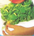 Masterlabel para bolsas de ensalada IV gama: sistema de abrir y cerrar
