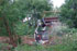 Desbrozadora forestal