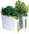 Mini Garden Power Plant