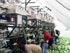 Serie VePack-P, ms de 50% de ahorro cuando la lechuga Iceberg se envasa en el campo