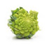 Romanescos: un hbrido entre coliflor y brcoli