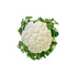 Coliflores de gruesas ramificaciones florales