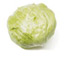 Lechuga Iceberg