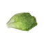 Lechuga Little Gem