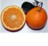 Naranjas Navelina