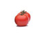 Tomates de larga conservacin