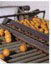 Tratamiento para la fruta