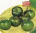 Virgilio F1, 'el verde' con soluciones