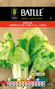 Acelga amarilla de Lyon sel. Linda