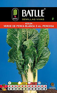 Acelga verde de penca blanca 3 sel. Pencosa