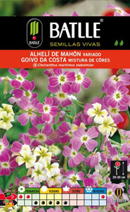 Alhel de Mahn variado