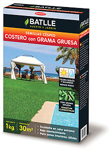 Csped costero grama gruesa