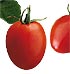 Tomate pera Armylla